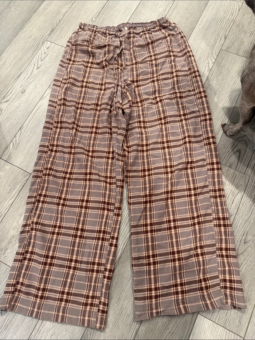 Free People Women’s Plaid Hudson Canyon in Brown and Cream